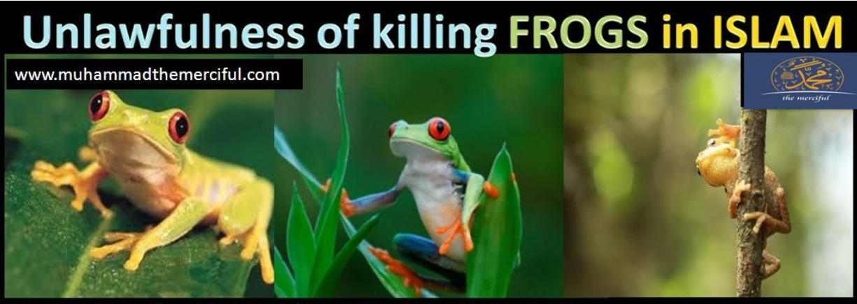 Unlawfulness of killing frogs