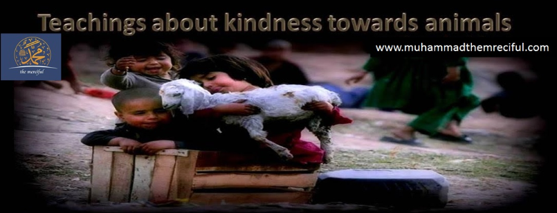 Teachings about Kindness towards animals – Muhammad the Merciful